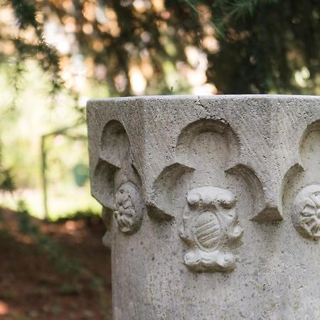 Villa Vittoria - The House Of Travelers Чернобио Екстериор снимка